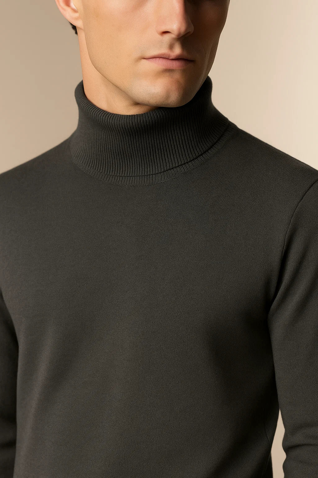 Eterna Cashmere Rollneck Grey
